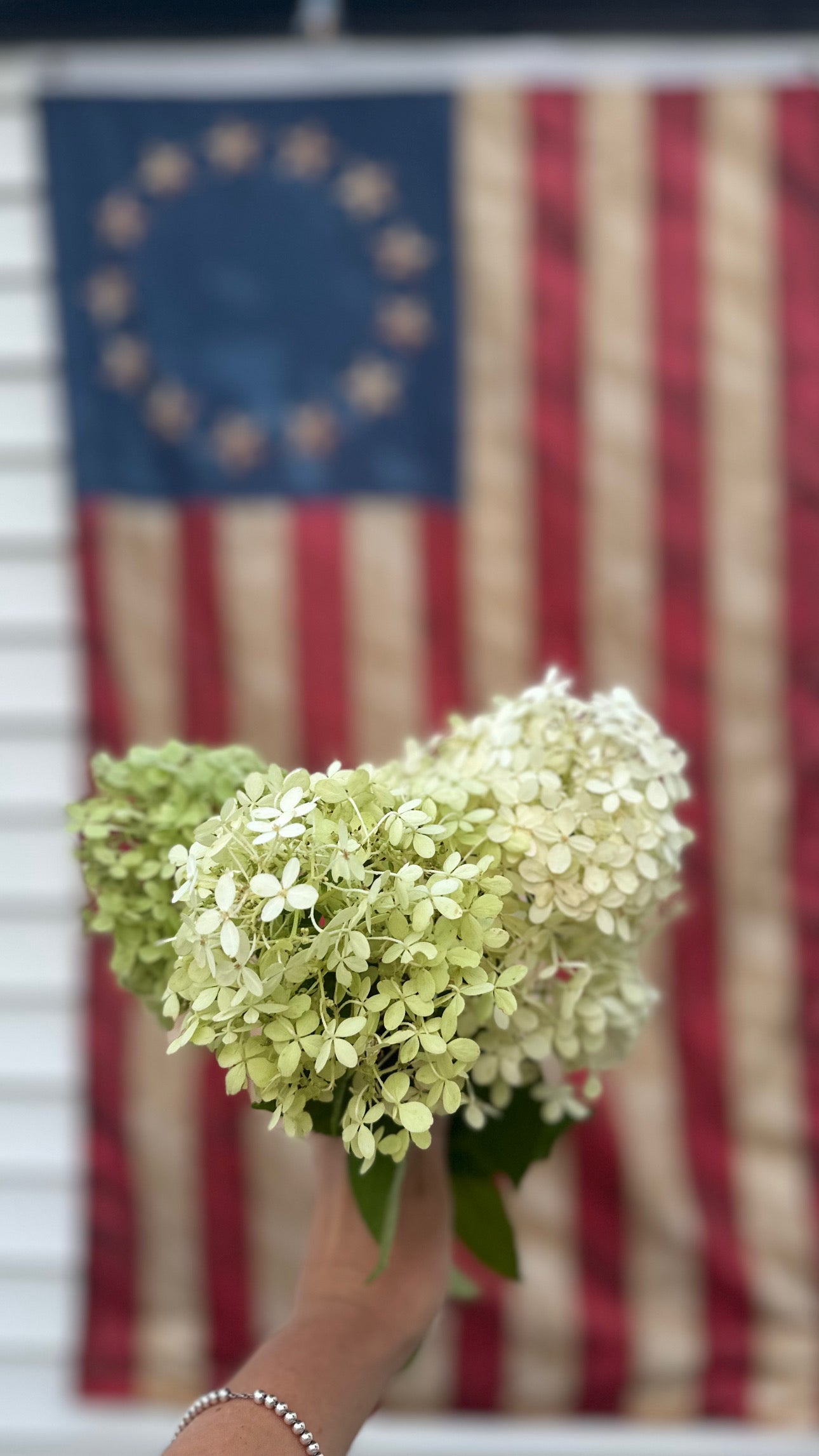 A Perfect Summer Evening